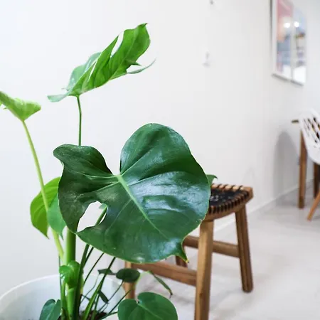 Casa Da Candida One Place, Many Things Apartment *