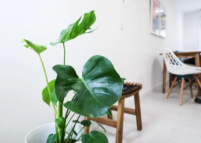 Casa Da Candida One Place, Many Things 公寓 *